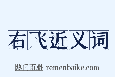 右飞近义词是什么意思的图片